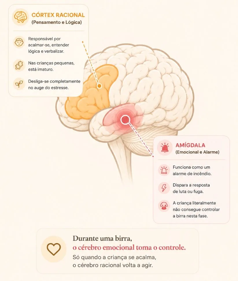 Diagrama do cérebro da criança durante a birra — Córtex Racional vs Amígdala